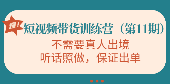 视频带货训练营，不需要真人出境，听话照做，保证出单（第11期）-电脑资源自留地