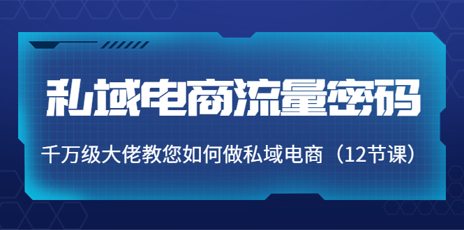 私域电商流量密码：千万级大佬教您如何做私域电商（12节课）-电脑资源自留地