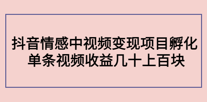 副业孵化营第5期：抖音情感中视频变现项目孵化 单条视频收益几十上百-电脑资源自留地