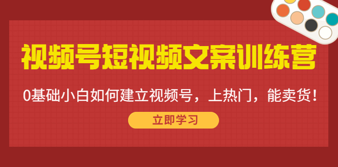 视频号短视频文案训练营：0基础小白如何建立视频号，上热门，能卖货！-电脑资源自留地