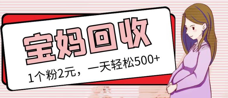 最新小红书母婴号宝妈粉回收项目，1个粉2元，一天轻松500+案例分享【粉丝包回收】-电脑资源自留地