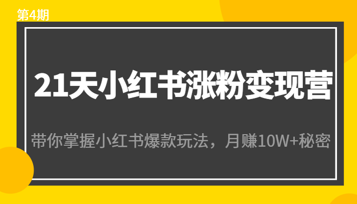 21天小红书涨粉变现营（第4期）：带你掌握小红书爆款玩法，月赚10W+秘密-电脑资源自留地