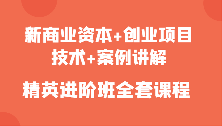 新商业资本+创业项目，技术+案例讲解，精英进阶班全套课程-电脑资源自留地