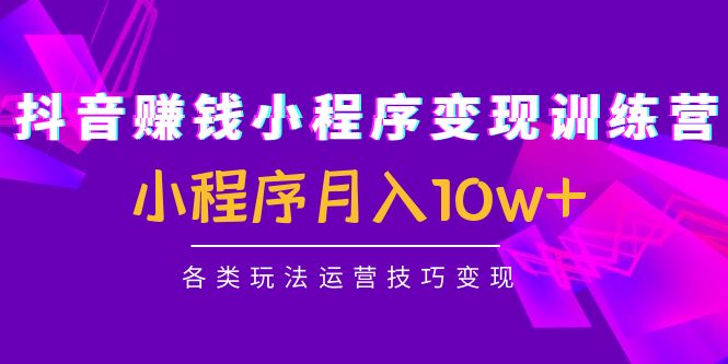 抖音赚钱小程序变现训练营：小程序月入10w+各类玩法运营技巧变现-电脑资源自留地
