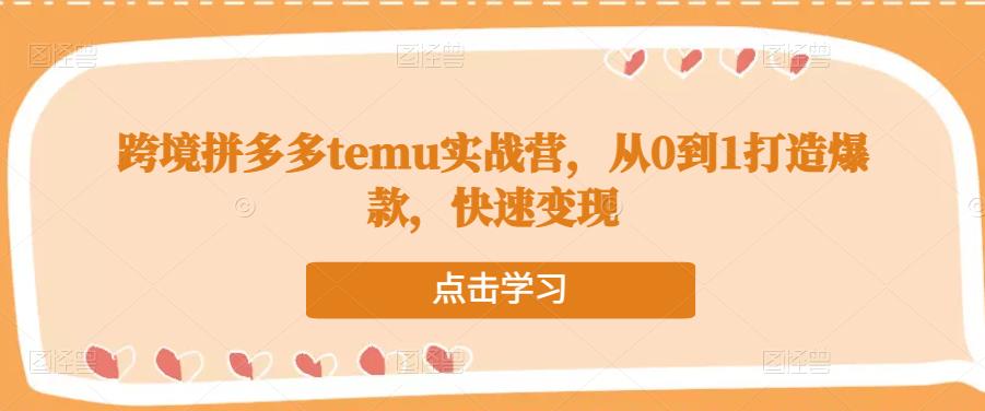 跨境拼多多temu实战营，从0到1打造爆款，快速变现-电脑资源自留地