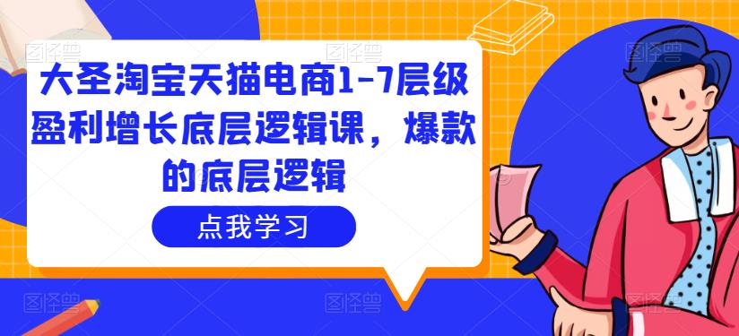 大圣淘宝天猫电商1-7层级盈利增长底层逻辑课，爆款的底层逻辑-电脑资源自留地
