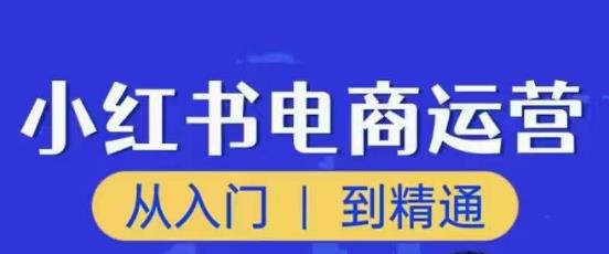 顽石小红书电商高阶运营课程，从入门到精通，玩法流程持续更新-电脑资源自留地