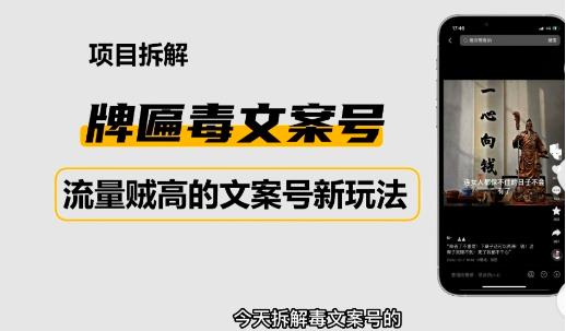 2023抖音快手毒文案新玩法，牌匾文案号，起号快易变现-电脑资源自留地