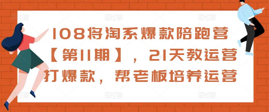 108将淘系爆款陪跑营【第11期】，21天教运营打爆款，帮老板培养运营-电脑资源自留地