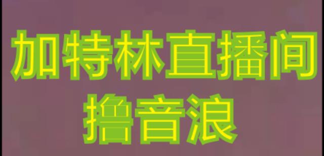 抖音加特林直播间搭建技术，抖音0粉开播，暴力撸音浪，2023新口子，每天800+【素材+详细教程】-电脑资源自留地