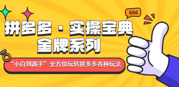 拼多多·实操宝典：金牌系列“小白到高手”带你全方位玩转拼多多各种玩法-电脑资源自留地