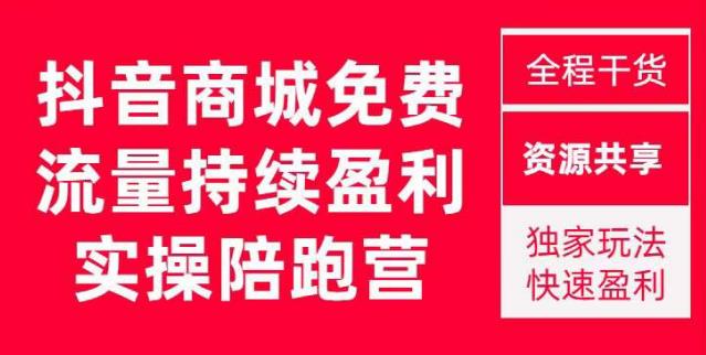 抖音商城搜索持续盈利陪跑成长营，抖音商城搜索从0-1、从1到10的全面解决方案-电脑资源自留地
