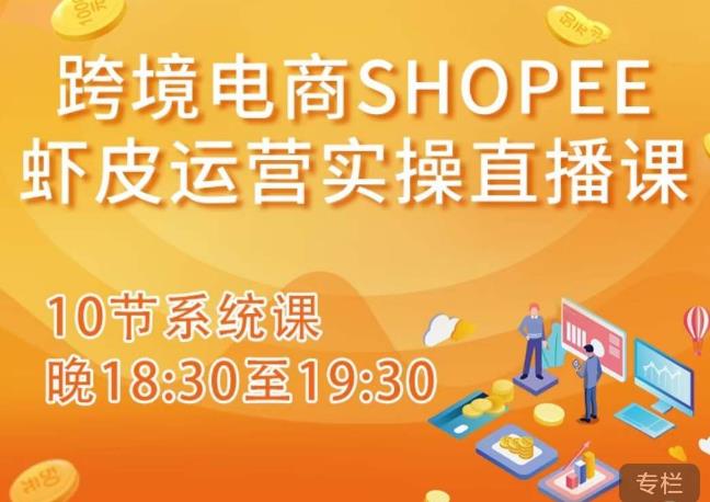 跨境电商Shopee虾皮运营实操直播课，从零开始学，入门到精通（10节系统课）-电脑资源自留地