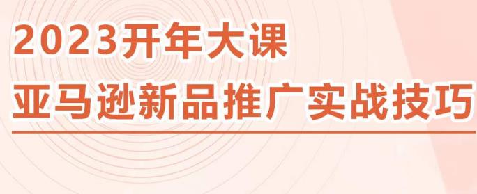 2023亚马逊新品推广实战技巧，线下百万美金课程的精简版，简单粗暴可复制，实操性强的推广手段-电脑资源自留地