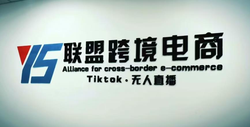 YS联盟·Tiktok无人直播，不出镜不剪辑不拍摄不发货无售后的跨境短视频躺赚玩法-电脑资源自留地