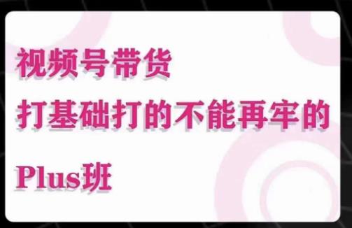 大播汇·视频号带货Puls班，视频号底层逻辑，起号自然流鱼塘等玩法-电脑资源自留地