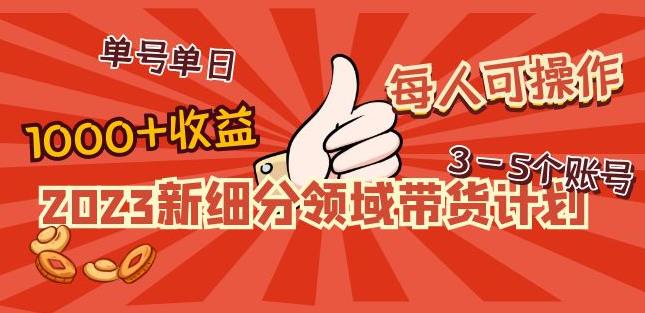 2023新细分领域带货计划：单号单日1000+收益不难，每人可操作3-5个账号-电脑资源自留地