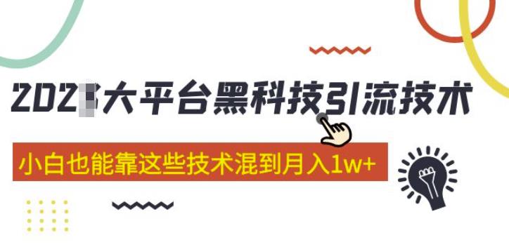 大平台黑科技引流技术，小白也能靠这些技术混到月入1w+(2022年的课程）-电脑资源自留地