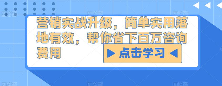营销实战升级，简单实用落地有效，帮你省下百万咨询费用-电脑资源自留地