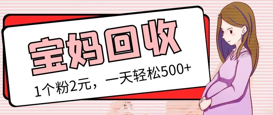 最新宝妈粉回收变现计划及胎教音乐高端变现玩法全套教程！（非老玩法）-电脑资源自留地