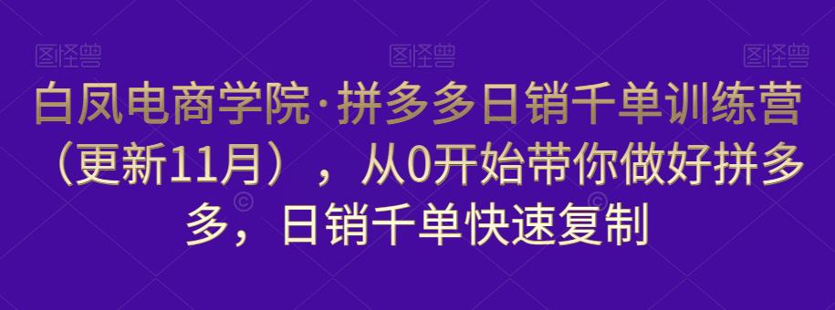 白凤电商学院·拼多多日销千单训练营，从0开始带你做好拼多多，日销千单快速复制（更新知2023年3月）-电脑资源自留地