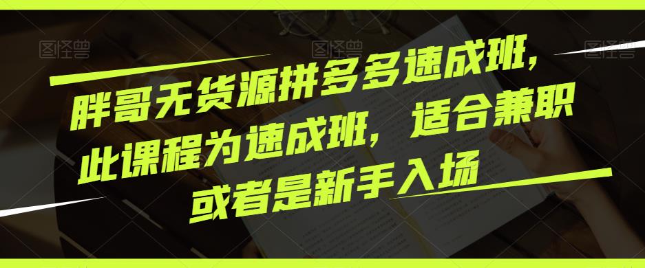胖哥无货源拼多多速成班，此课程为速成班，适合兼职或者是新手入场-电脑资源自留地