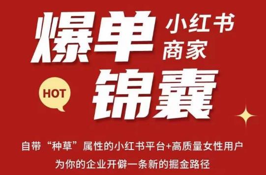 无畏·小红书商家爆单锦囊，掌握小红书各大规则，快速精准抢占行业和市场-电脑资源自留地