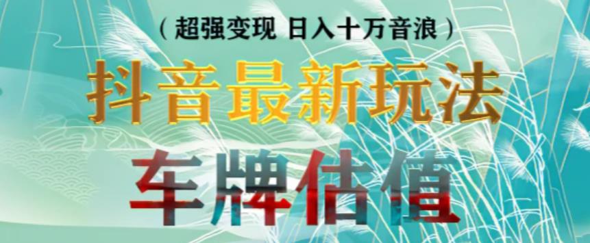 抖音最新无人直播变现直播车牌估值玩法项目，轻松日赚几百+【详细玩法教程】-电脑资源自留地