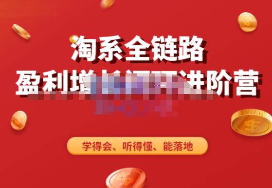 淘系全链路盈利增长闭环进阶营，融合全店动销，学得会、听得懂、能落地！-电脑资源自留地