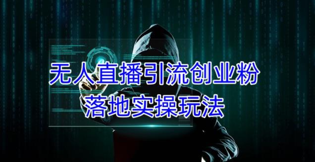 外面收费3980的无人直播引流创业粉落地实操玩法，单日引100+精准创业粉-电脑资源自留地