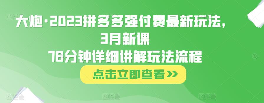 大炮·2023拼多多强付费最新玩法，3月新课​78分钟详细讲解玩法流程-电脑资源自留地