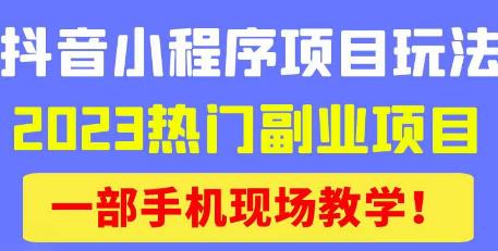 抖音小程序9.0新技巧，2023热门副业项目，动动手指轻松变现-电脑资源自留地