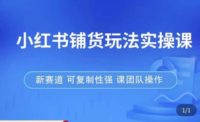 小红书铺货玩法实操课，流量大，竞争小，非常好做，新赛道，可复制性强，可团队操作-电脑资源自留地