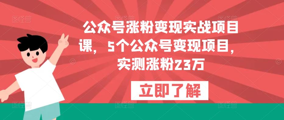 公众号涨粉变现实战项目课，5个公众号变现项目，实测涨粉23万-电脑资源自留地