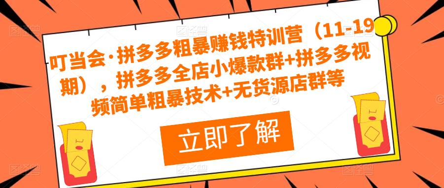 叮当会·拼多多粗暴赚钱特训营（11-19期），拼多多全店小爆款群+拼多多视频简单粗暴技术+无货源店群等-电脑资源自留地