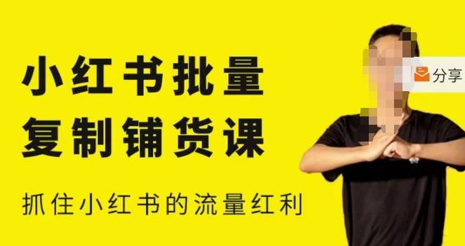 张宾·小红书批量复制铺货课，小红书0-1快速起号变现玩法，抓住小红书的流量红利（更新2023年3月）-电脑资源自留地