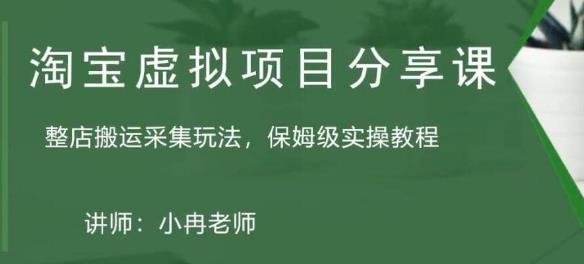 淘宝虚拟整店搬运采集玩法分享课：整店搬运采集玩法，保姆级实操教程-电脑资源自留地
