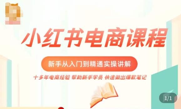 小红书电商新手入门到精通实操课，从入门到精通做爆款笔记，开店运营-电脑资源自留地