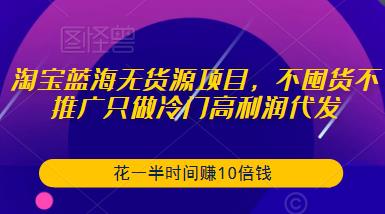 淘宝蓝海无货源项目，不囤货不推广只做冷门高利润代发，花一半时间赚10倍钱-电脑资源自留地