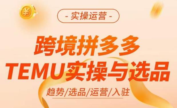 跨境拼多多TEMU实操与选品，​掌握平台运营方法技巧，选品避坑12条标准，爆款的底层思路等-电脑资源自留地