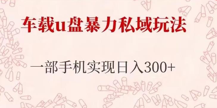 车载u盘暴力私域玩法，长期项目，仅需一部手机实现日入300+-电脑资源自留地