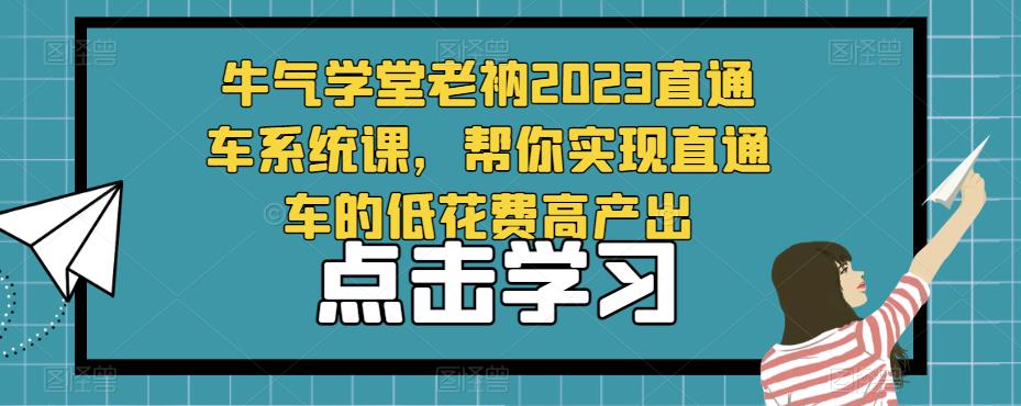 牛气学堂老衲2023直通车系统课，帮你实现直通车的低花费高产出-电脑资源自留地
