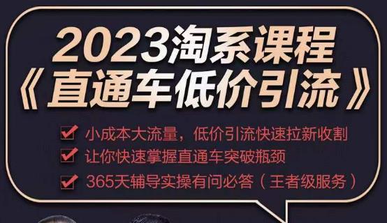 2023直通车低价引流玩法课程，小成本大流量，低价引流快速拉新收割，让你快速掌握直通车突破瓶颈-电脑资源自留地