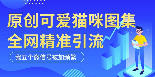 黑科技纯原创可爱猫咪图片，全网精准引流，实操5个VX号被加频繁-电脑资源自留地