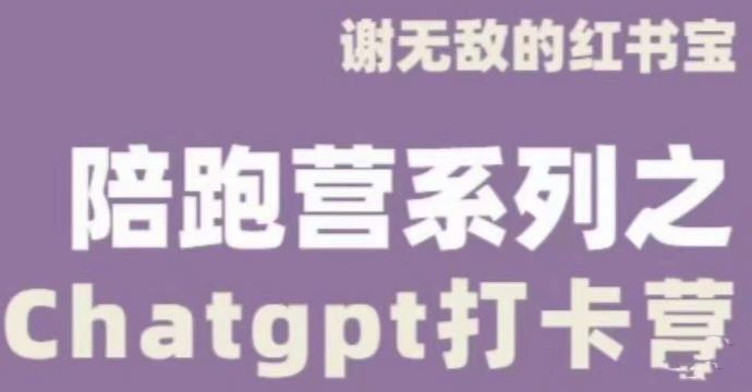 谢无敌ChatGPT打卡营，教你更好地使用ChatGPT来提高工作效率-电脑资源自留地
