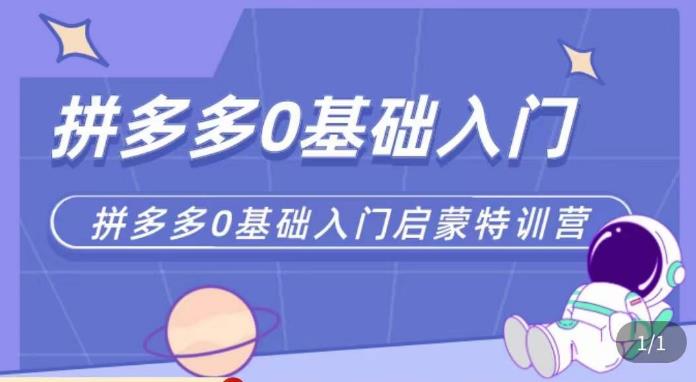六一电商·拼多多运营0-1实操特训营，拼多多从基础到进阶的可实操玩法-电脑资源自留地
