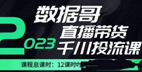 数据哥2023直播电商巨量千川付费投流实操课，快速掌握直播带货运营投放策略-电脑资源自留地
