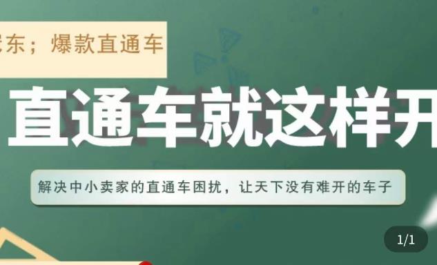 冠东·淘系直通车保姆级教程，全面讲解直通车就那么简单-电脑资源自留地