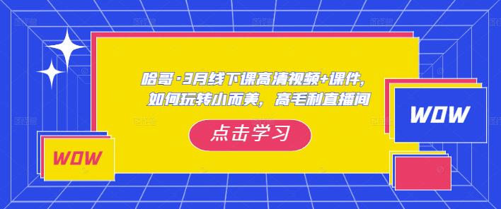 哈哥·3月线下实操课高清视频+课件，如何玩转小而美，高毛利直播间-电脑资源自留地