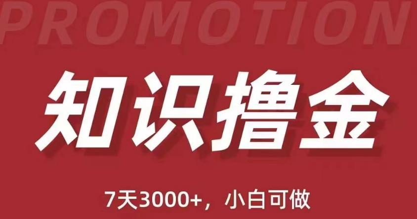 抖音知识撸金项目：简单粗暴日入1000+执行力强当天见收益(教程+资料)-电脑资源自留地